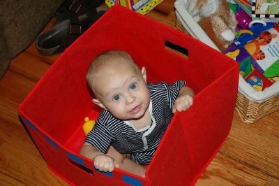 Baby in a Box