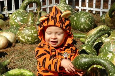 Brooks in the gourd patch