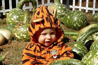 Brooks in the gourd patch