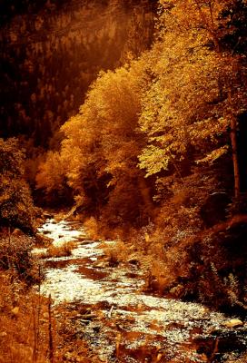 Fall in the Black Hills.jpg