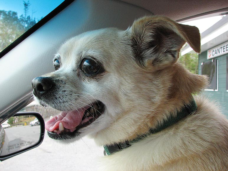 We re At The Park Mom!