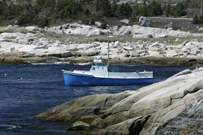 Rocky Shore Line