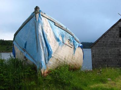 Tattered Tarp