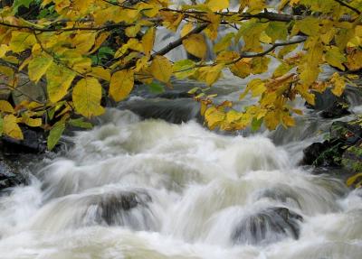 The River Is Full