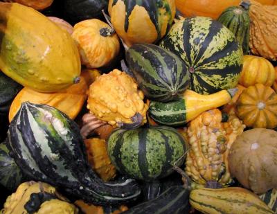 The Gourd Pile