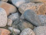 Beach Rocks