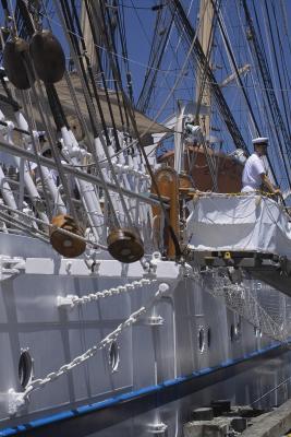 officier of the deck scans the crowd