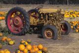pumpkin tractor