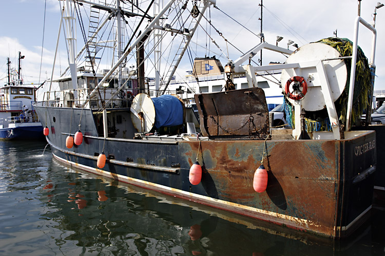 Fishing Boats.jpg