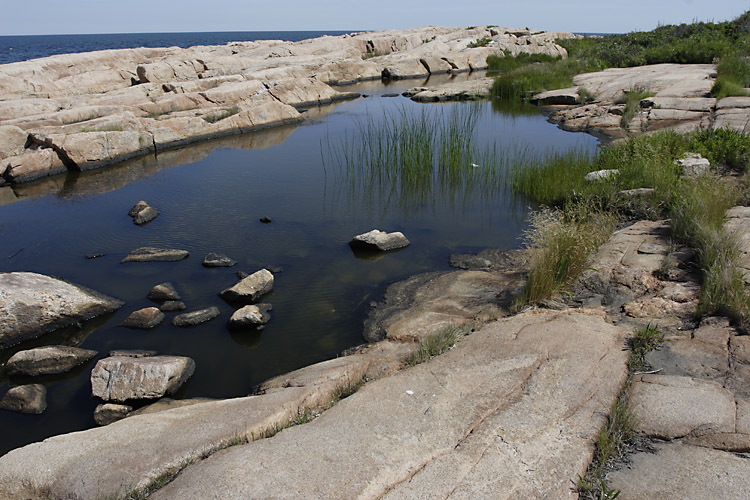 Rocky beach