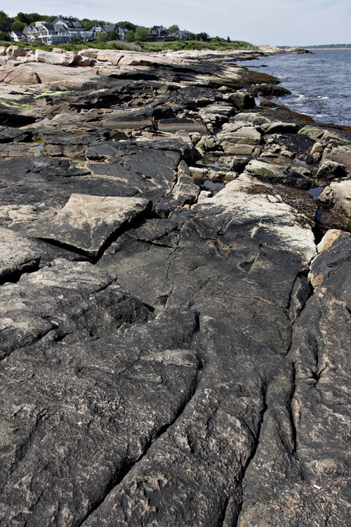Rocky beach