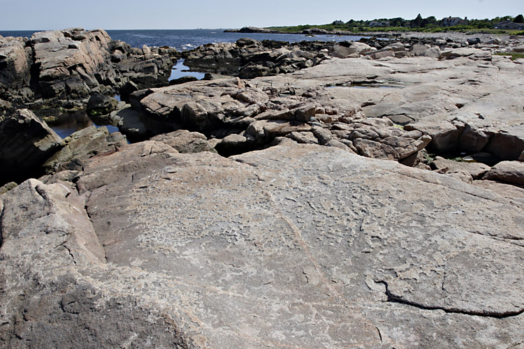 Rocky beach