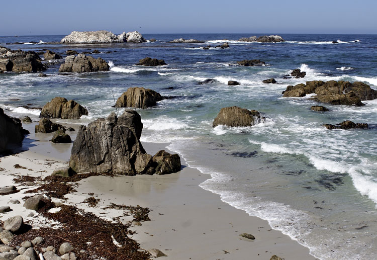 View near Bird Rock