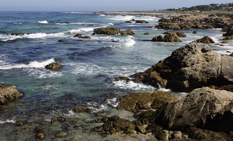 View near Bird Rock 2.jpg