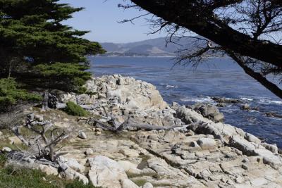 View from 17 Mile Drive