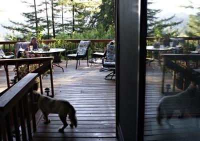 On the deck.jpg