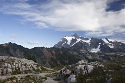 Shuksan View.jpg