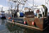 Fishing Boats.jpg