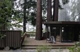 Home in the Redwoods.jpg