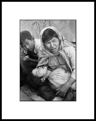 Eddie Adams