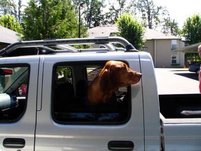 chantz-truck.jpg