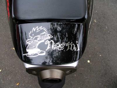 sas-decal.jpg