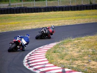 adrenalin-t1-2.jpg