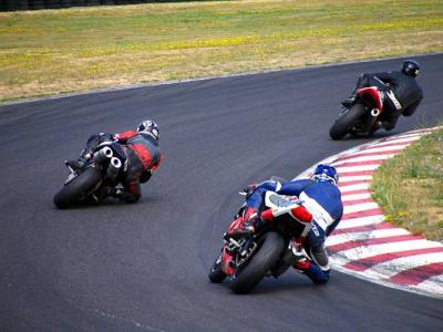 adrenalin-t1-3.jpg