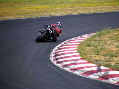 adrenalin-t1-4.jpg