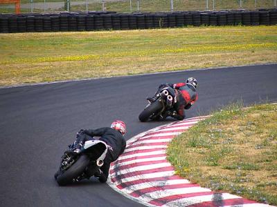 adrenalin-t1-5.jpg