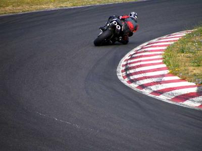 adrenalin-t1-7.jpg