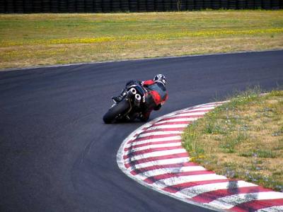 adrenalin-t1.jpg