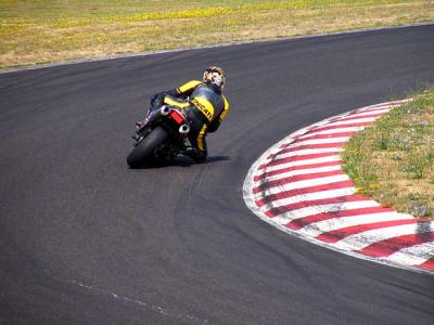 brian-t1-6.jpg