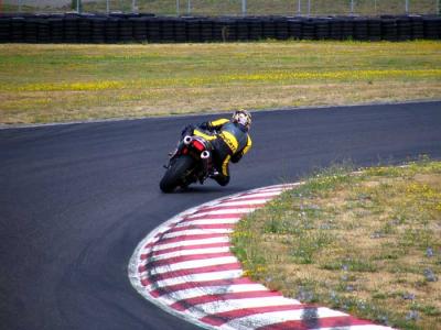 brian-t1-8.jpg