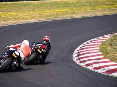 desmo-t1-2.jpg