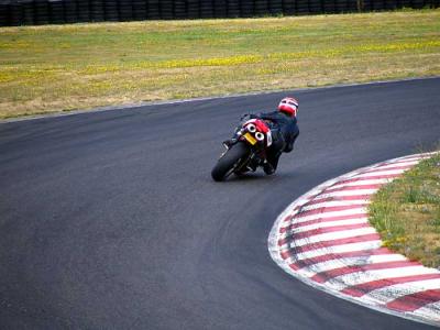 desmo-t1-3.jpg
