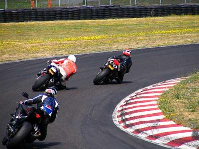 desmo-t1.jpg