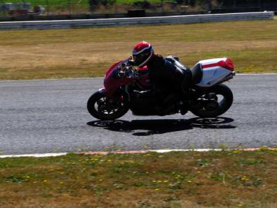 desmo-t3.jpg
