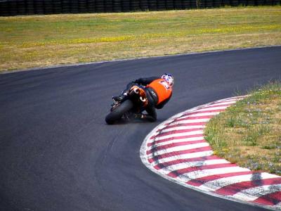 mxjunkie-t1-2.jpg