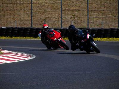 sas-desmo-t9.jpg
