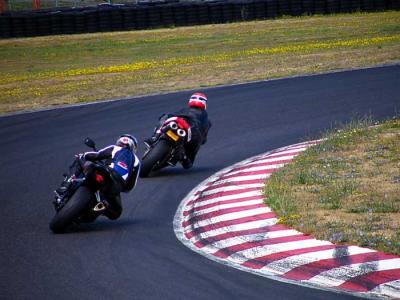 twrex-desmo-t1-2.jpg