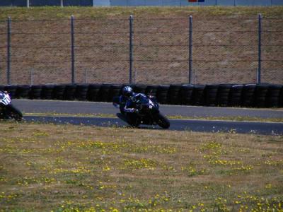 twrex-t9-enter2.jpg