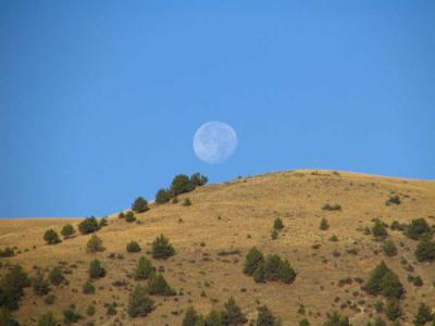 moon-above-ridge2.jpg