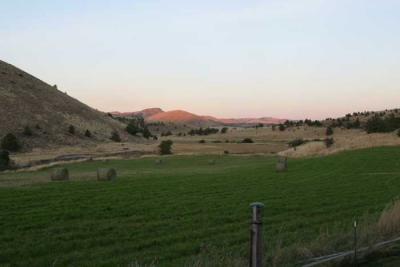 Looking over fields