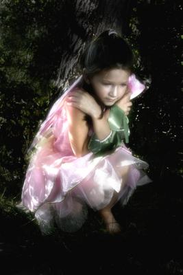 Fairy