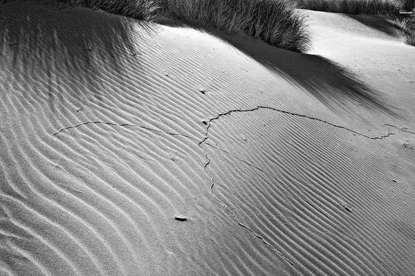 Dunes #22