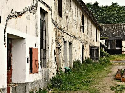 Slavonice: Working Goat Farm