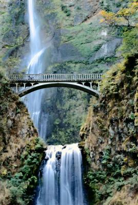 v3/93/254493/3/49601486.MultnomahFallsOregon.jpg
