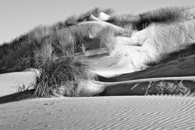 Dunes #01