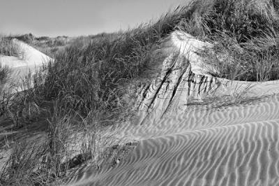 Dunes #06